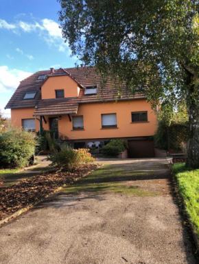 Grand appartement au cœur de la région alsacienne
